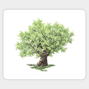 August birthday oak tree Sticker